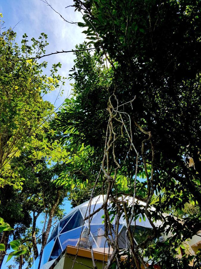 Chira Glamping Resort Monteverde Extérieur photo