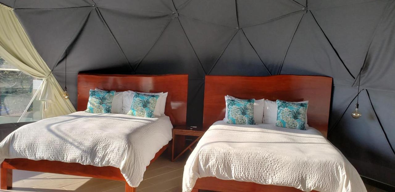 Chira Glamping Resort Monteverde Extérieur photo
