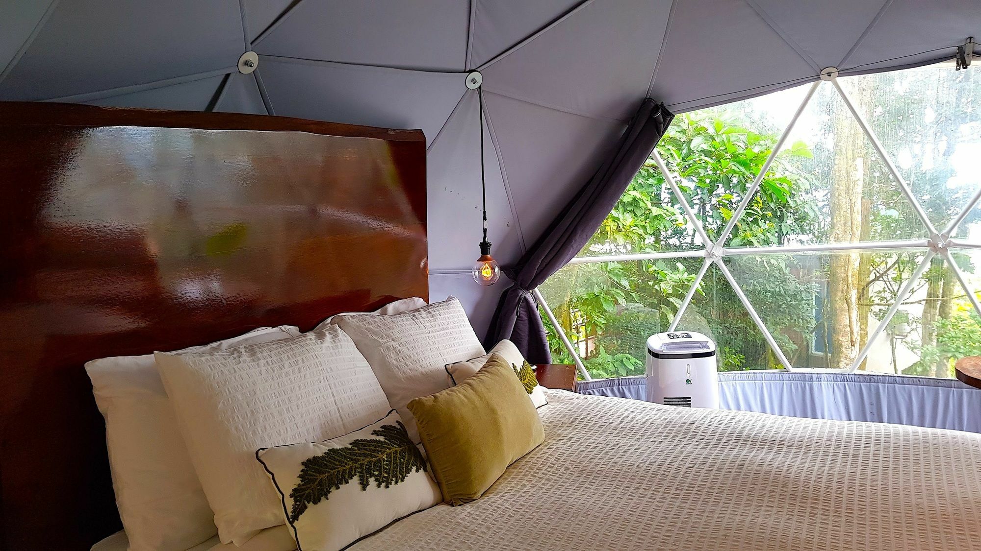 Chira Glamping Resort Monteverde Extérieur photo