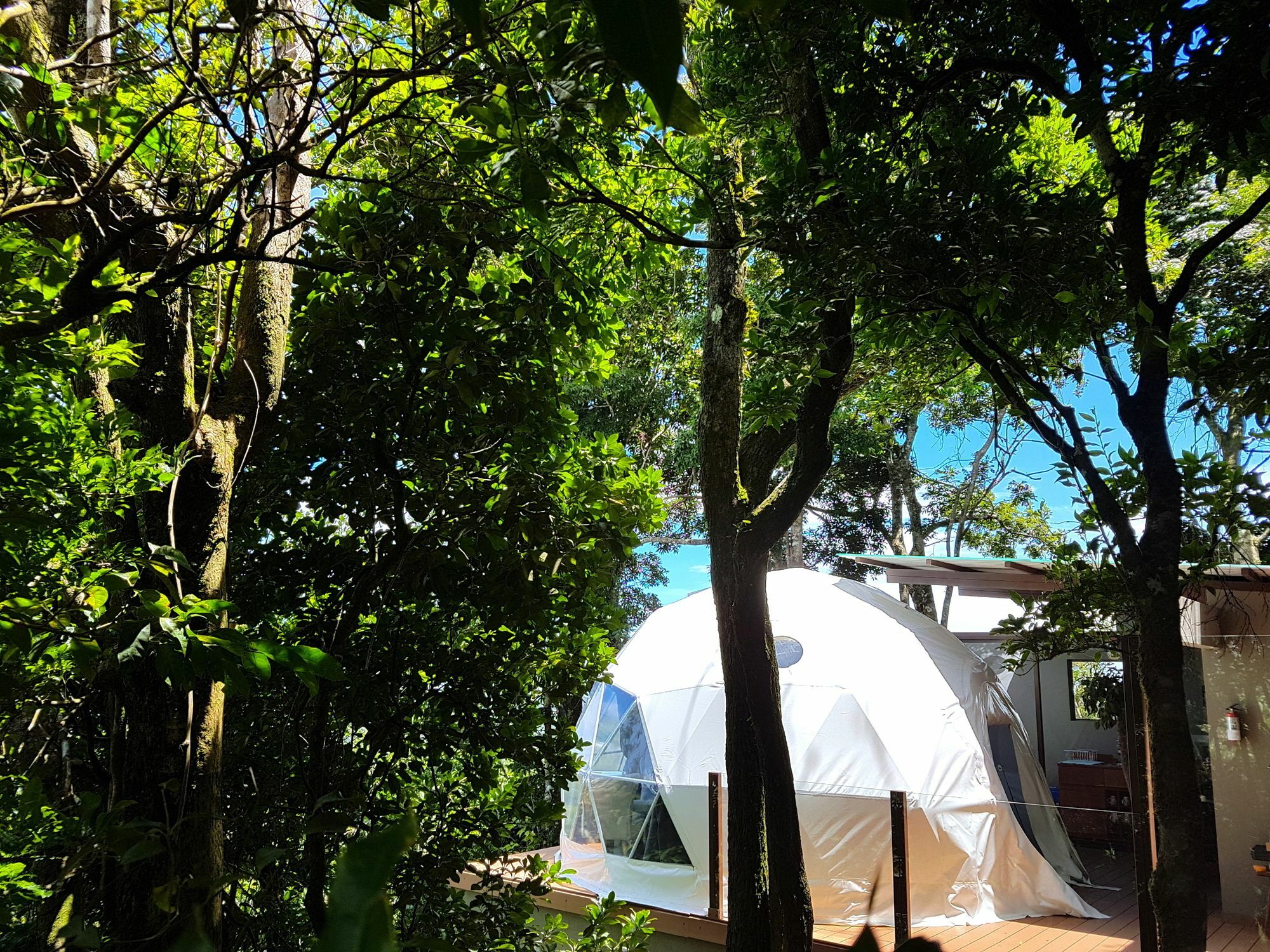 Chira Glamping Resort Monteverde Extérieur photo