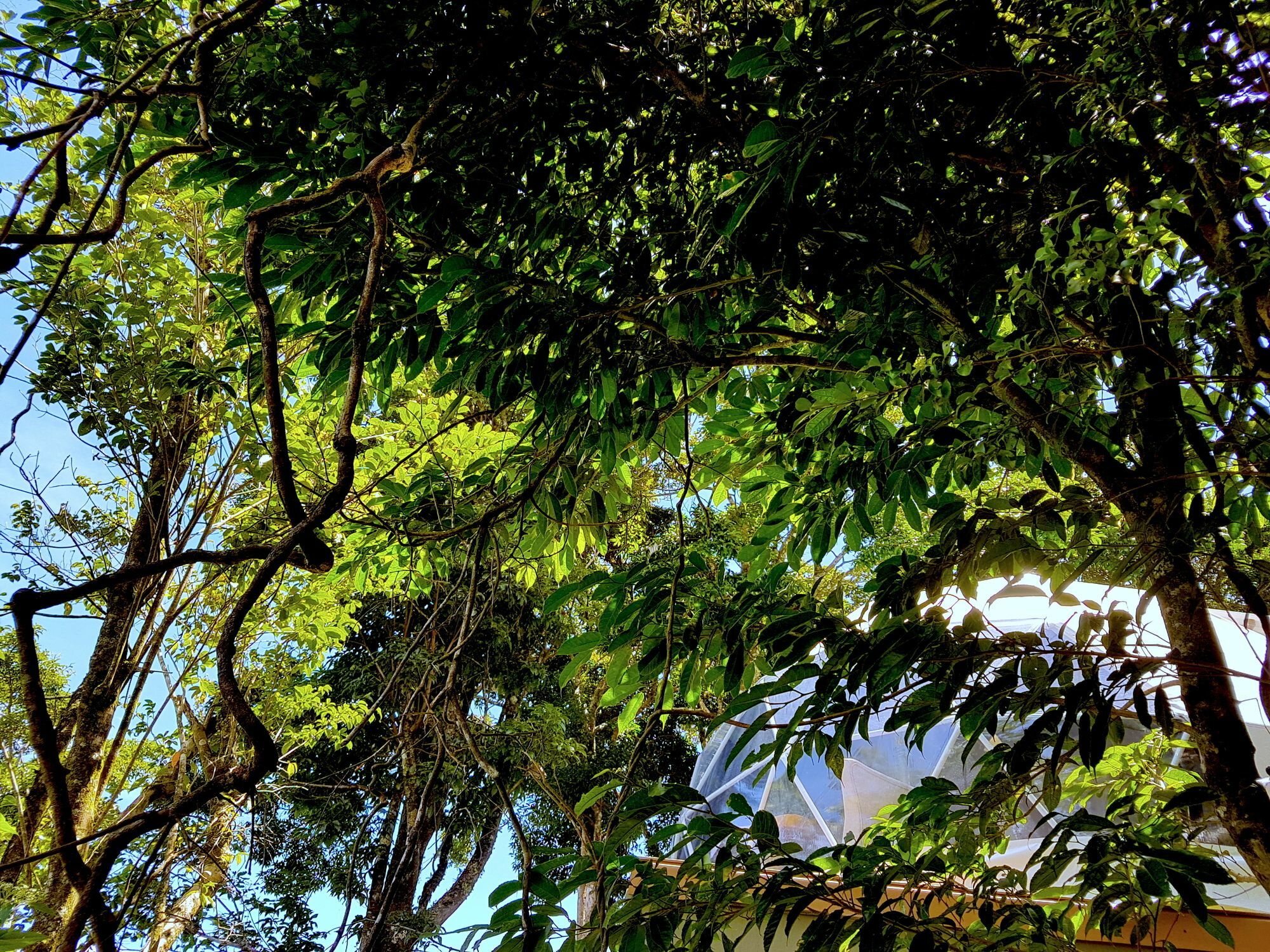 Chira Glamping Resort Monteverde Extérieur photo
