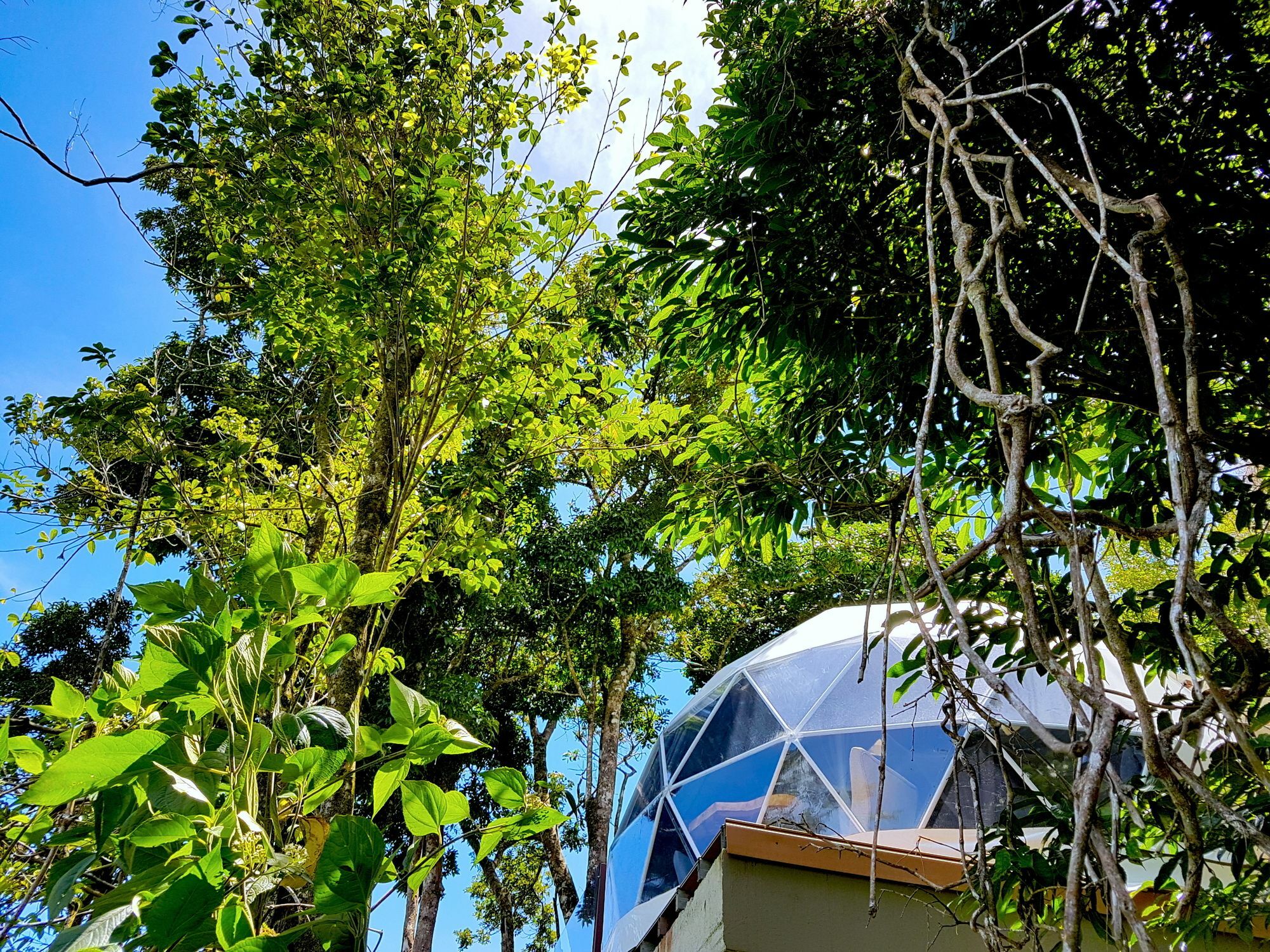 Chira Glamping Resort Monteverde Extérieur photo